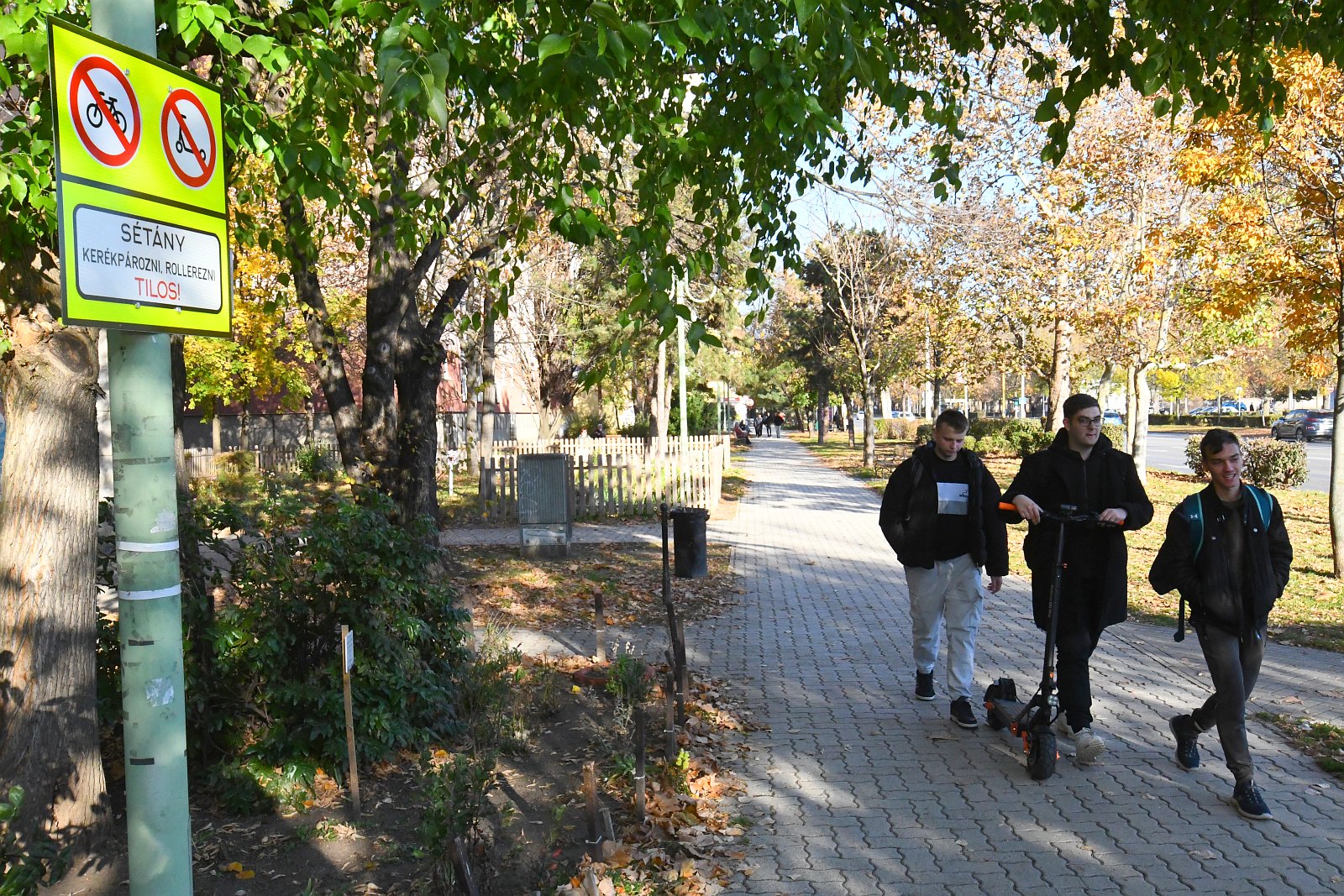 Ne rollerezz a járdán! – figyelemfelhívó táblák kerültek ki Vízivárosban